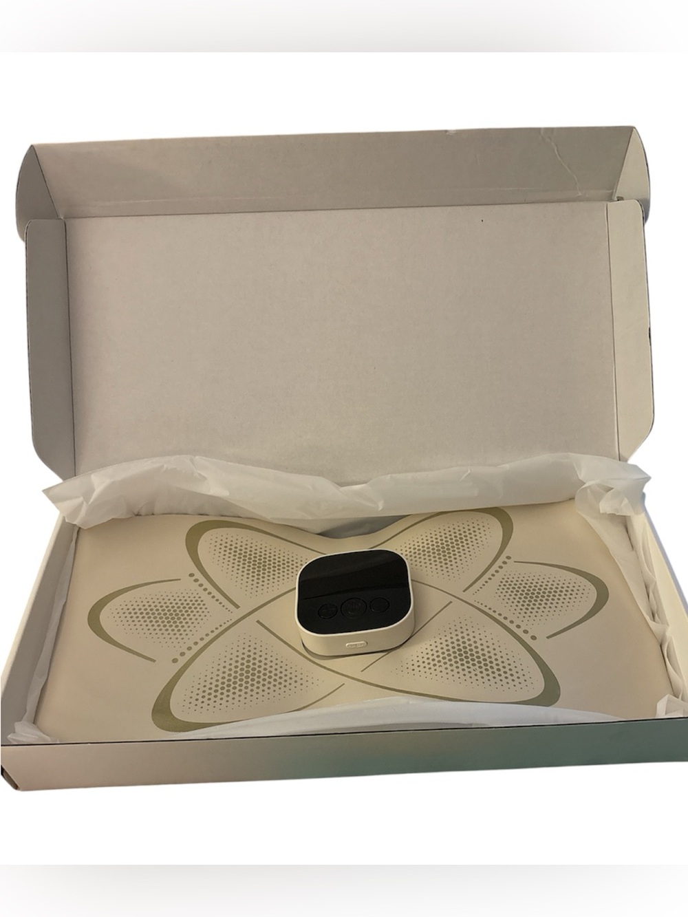 Toning Belt